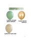 12 Inch Mildew Green Chrome Gold and Sea Sand 10 Balloons - 2