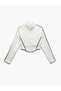Strip Detailed Stand Collar Three Thread Raised Zipper Crop Sweatshirt - 3