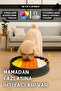 Bulyut (35 cm) - Dog Smell Training Mat, Fetch, Sniffing and Slow Eating Toy, Non-Slip Base - 2