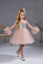 Powder Sequined Sleeve Detailed Style Children's Evening Dress
