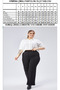 High Waist Loose Wide Leg Zipper Plus Size Women's Pants with Grass - 5