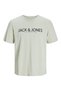 Jprblajack Ss Tee Crew Neck Fst Ln Men's T-shirt12256971 Green Tint