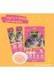 Cat Treats, Salmon Flavor, Adult, 5 Count - Hairball Control, Rich in Protein, 0.5 oz Each (Pa