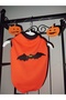 Cat & Dog Clothing 🎃   Witch& Halloween Costume - 3