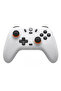 Nova Lite Controller for PC, Steam, Switch, iOS and Android Devices, Wireless Gamepad