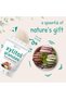 Xylitol Sweetener, 6 Pounds, Natural Sweetener, 1:1 Sugar Substitute and Low Calor - 5