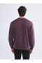 Crew Neck Men's Sweatshirt - 4