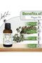 Organic Oregano Oil 30ml - 100% Pure Cold Pressed Essential Oil - 2