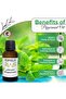 Organic Peppermint Oil 30ml - 100% Pure Cold-Pressed Peppermint Essential Oil - 2