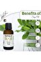 Organic Sage Oil 30ml | 100% Pure Cold-Pressed | Acne Care & Clear Breathing | Palestine - 3