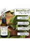 Organic Bay Leaf Oil 30ml - 100% Pure Cold Pressed Essential Oil (Made in Palestine) - 2