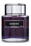 Gemini Men & Gemini Noir – 50ml + 50ml EDP (Men) | Total 100ml - 2