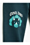 Cotton Dinosaur Printed Lace-Up Waist Ribbed Jogger Sweatpants - 4