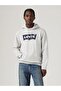 Standard Graphic Hoodie