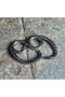 Octopus Design Hoop Earrings 316L Stainless Steel Tarnish-Free Earrings Pair