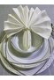 Service Napkin with Ring (Presentation Napkin) Gardenia Fabric - 3