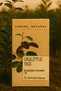 Eucalyptus Essential Oil 30 Ml, Hair and Skin Care - 4