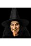 Halloween Halloween Witch Costume Set Hat Nose Chin Quotes and Teeth 14 Pieces - 2