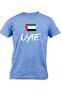 UAE PAINTED FLAG