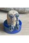 Claw Skull Snake Design Nail Model 316L Stainless Tarnish-Free Steel Earrings Pair