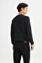 Regular Fit Anthracite Men's Sweater L2520364003 - 4