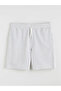 Ozmarka New Season Standard Fit Striped Men's Shorts - 5
