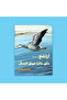Soar high above the mountains | Migratory geese