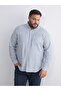 Regular Fit Long Sleeve Striped Men's Shirt