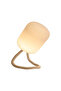 Outdoor Night Light with Flexible Hanger & Stand | Rechargeable Portable Night Light