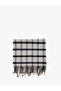Tasseled Plaid Long Scarf