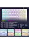 Mini 60% Gaming Keyboard, Upgrade RGB Backlit 61 Key Ultra-Compact Keyboard - 3
