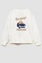 Boy's Printed 3 Thread Fabric Cotton Sweatshirt - 2