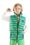 Kids Boy Dinosaur Printed Trendy Inflatable Vest Ak216263 - 4
