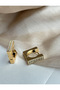 Steel Gold Stone Square Earrings - 2