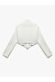 Strip Detailed Stand Collar Three Thread Raised Zipper Crop Sweatshirt - 4