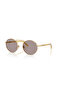نظارات شمسية PO 1019S 112953 53