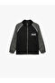 Stand Collar Long Sleeve Hooded Zippered Sweatshirt - 4