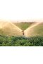 Ka-30 Model Fountain - Garden and Corn Wheat Cotton, Sprinkler and Watering Effect - 4