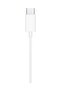 USB-C Wired Earbuds with Mic & Volume Control (White) - 2