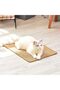 Cat Scratcher Mat Sisal Fabric 23.6 x 15.7 Inch with Catnip