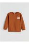Lcw Kidsdinosaur Printed Boys' Sweatshirt - 6