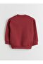 Crew Neck Printed Boy's Thick Sweatshirt - 3