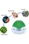 Air Show Three-in-One Watering Air Revitalisor Air Purifier, Humidifier & Diffuser Set