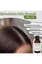Organic Bay Leaf Oil 30ml - 100% Pure Cold Pressed Essential Oil (Made in Palestine) - 5
