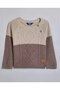 Colorblock Sweater with Crew Neck and Long Sleeves