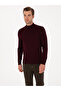 Light Burgundy Slim Fit Wool Blend Half Fisherman Basic Knitwear Sweater 50315296-Vr263