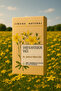 St. John's Wort Oil 100% Natural Maceration Pressed 30 ml - 3