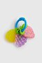 Fruit Ring Teether Toy