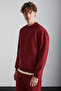 Travis Men's Organic Fabric Soft Regular Fit Round Neck Burgundy Sweatshirt