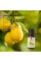 Lemon Essential Oil 10ml - 3